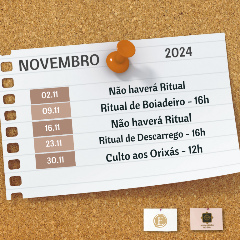 6 - Novembro